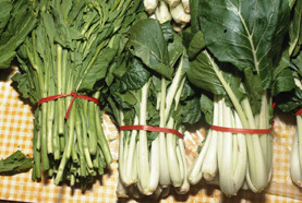 Vitamin K