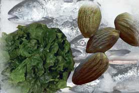 Magnesium